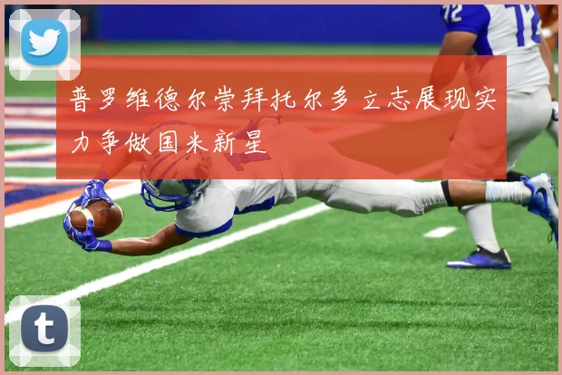 普罗维德尔崇拜托尔多立志展现实力争做国米新星