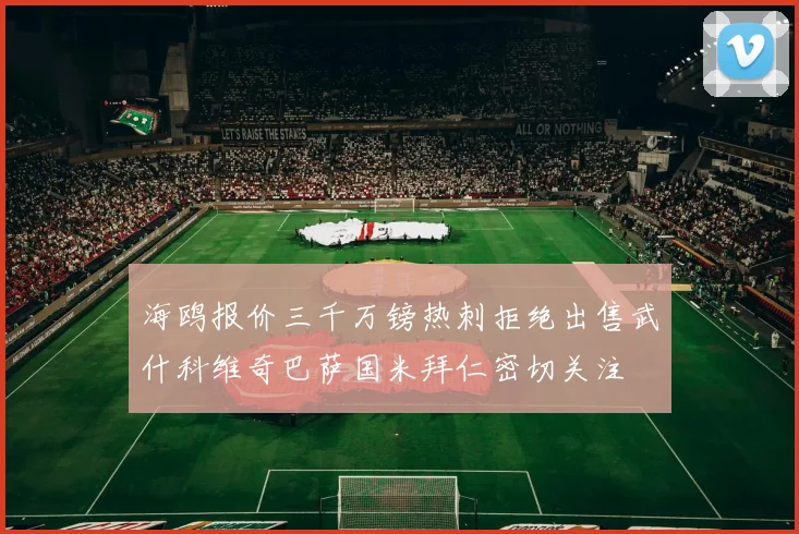 海鸥报价三千万镑热刺拒绝出售武什科维奇巴萨国米拜仁密切关注