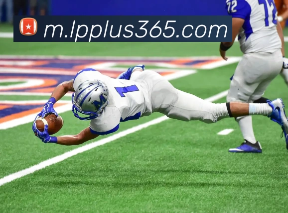 企业概况